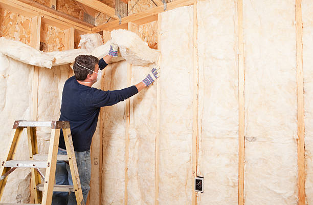 Best Blown-In Insulation  in Eden, TX